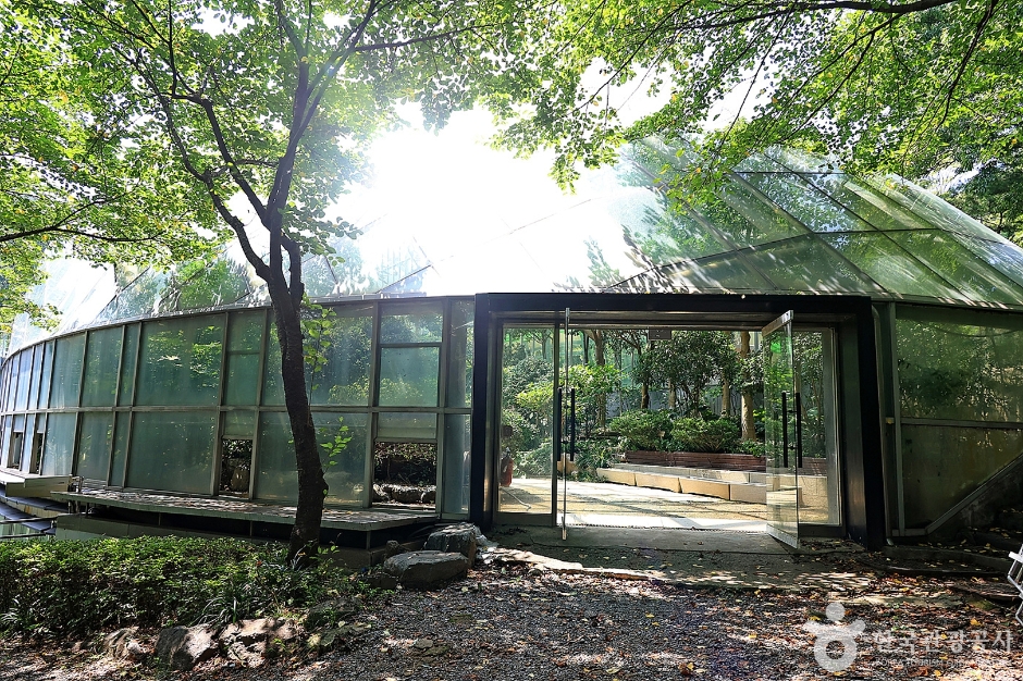 신구대학교식물원 이미지 3