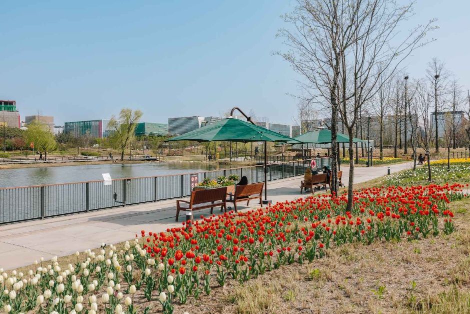 서울식물원 호수공원 이미지 2