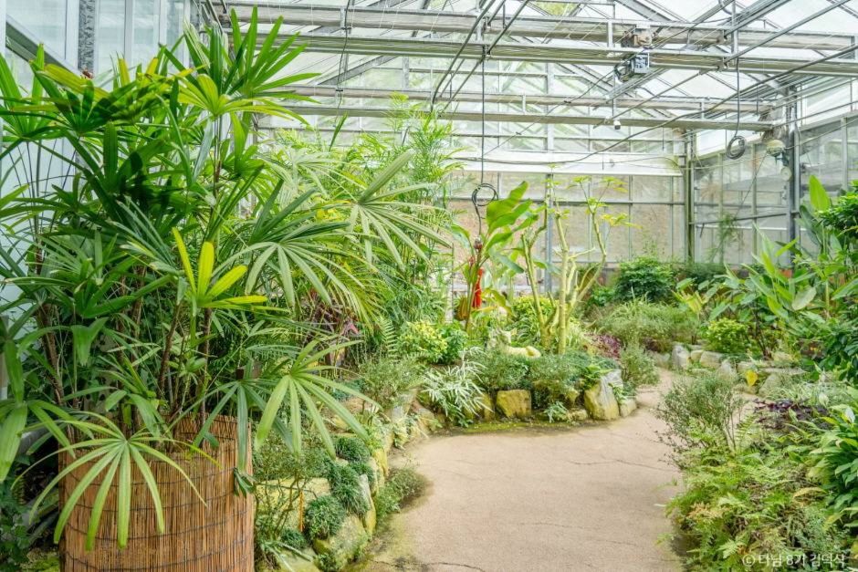 대아수목원 이미지 3