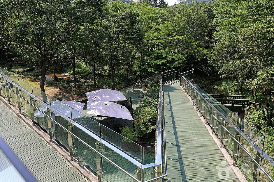 신구대학교식물원 이미지 2