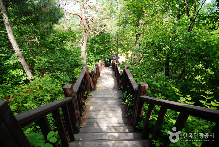 경상북도수목원 이미지 3