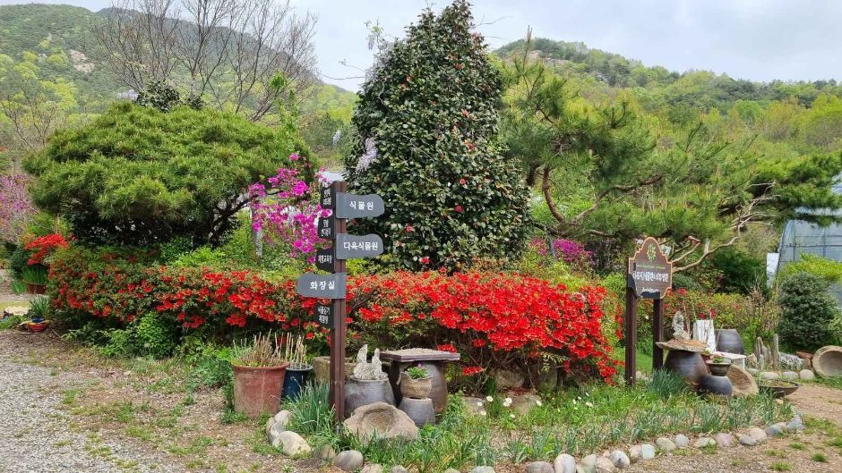 담양 다화림식물원 이미지 1