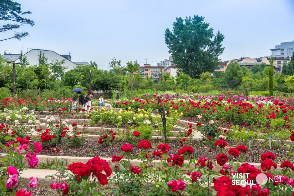 푸른수목원 이미지 4