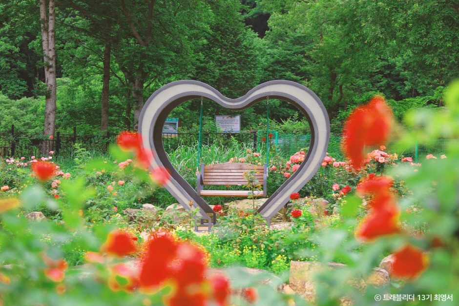 대아수목원 이미지 1