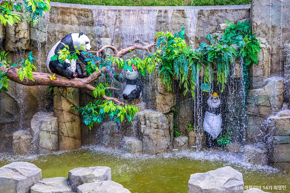 원주 동화마을수목원 이미지 4