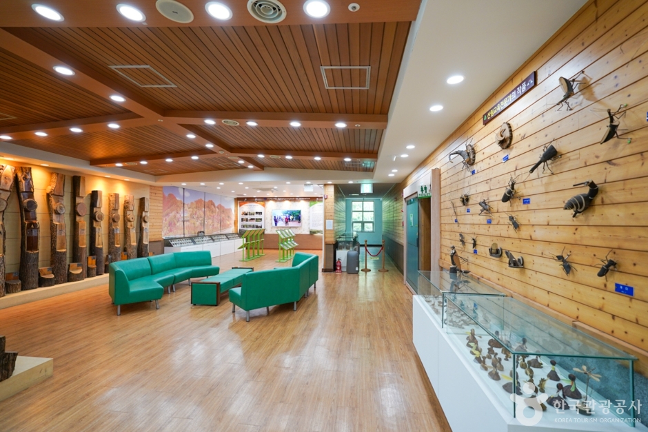 경상북도수목원 이미지 4