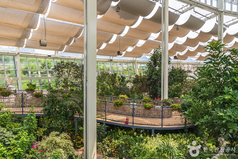 레인보우식물원 이미지 3