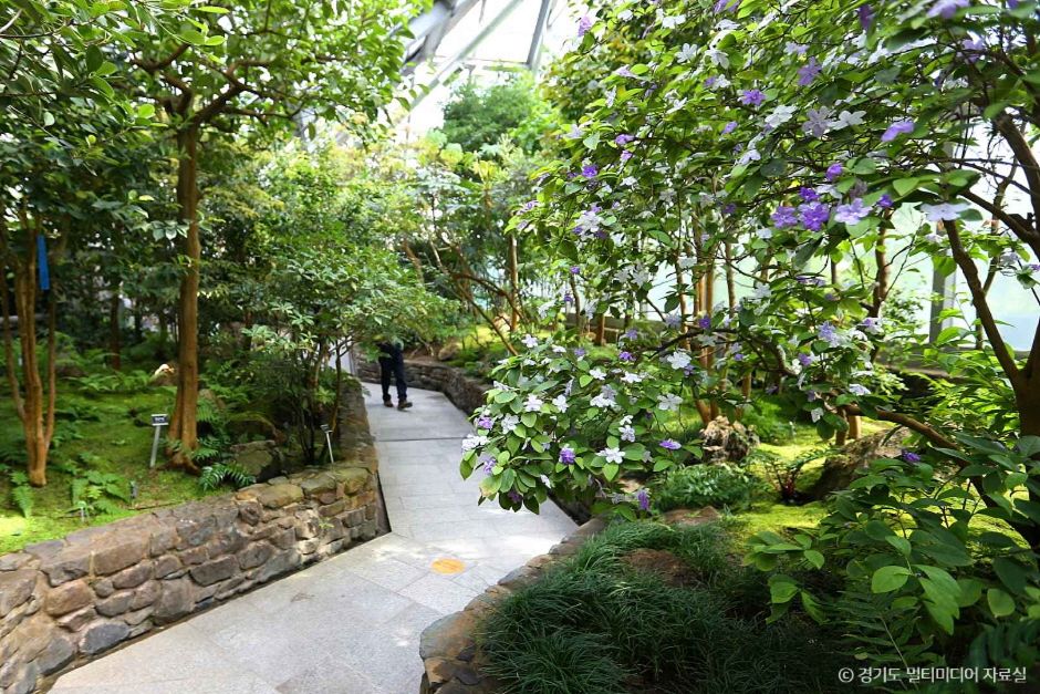 포천 국립수목원 광릉숲 이미지 5