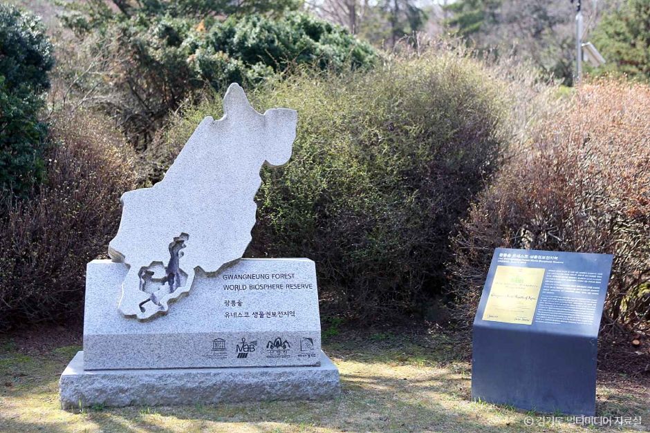 포천 국립수목원 광릉숲 이미지 6