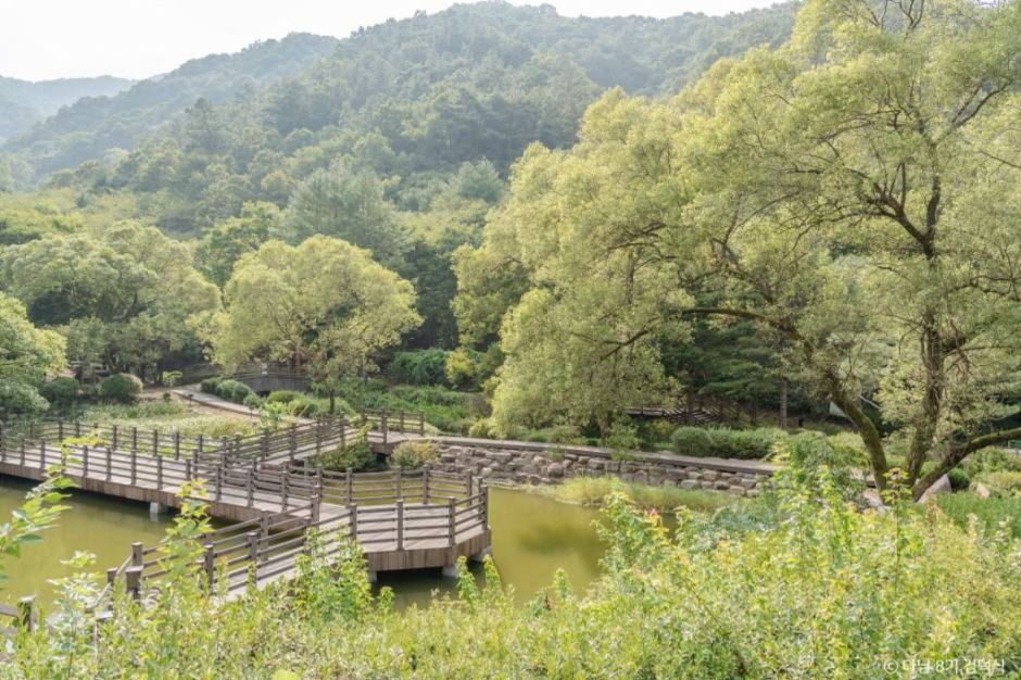 대아수목원 이미지 4