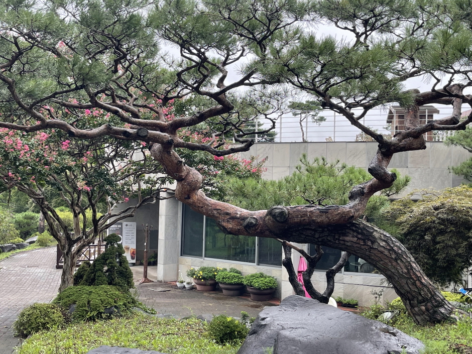 그림같은 수목원 (그림이 있는 정원) 이미지 3