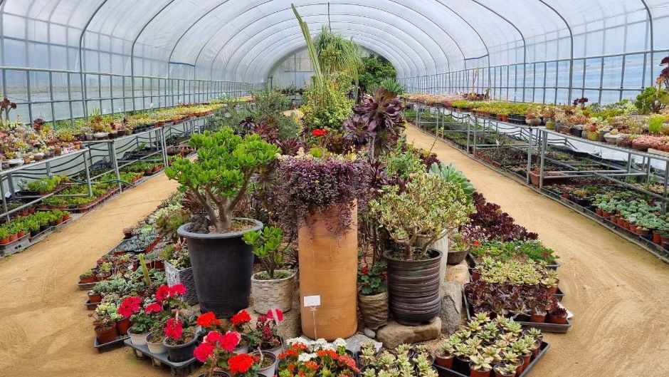 담양 다화림식물원 이미지 2