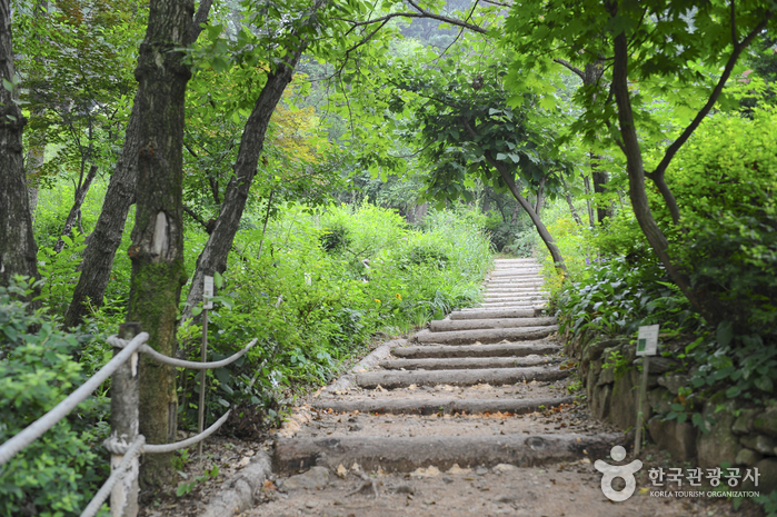 장흥자생수목원 이미지 3