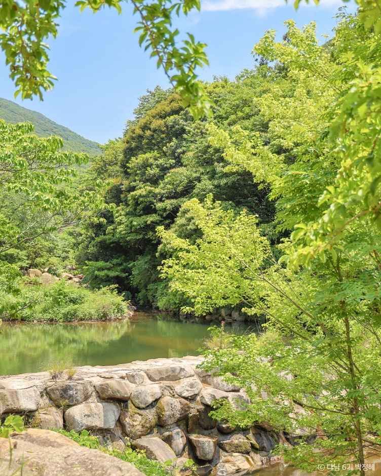 완도수목원 이미지 3