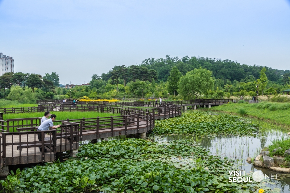 푸른수목원 이미지 1