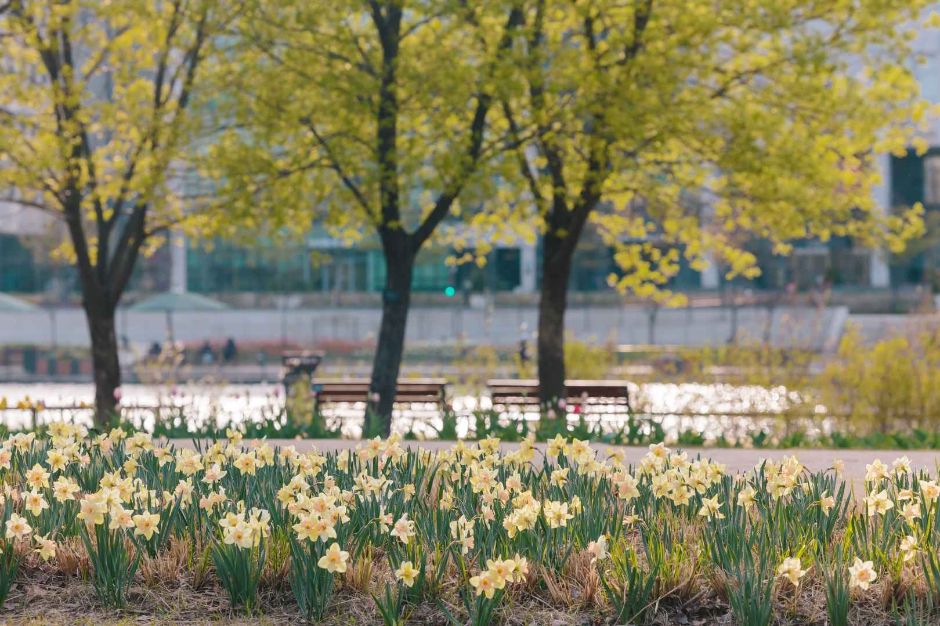 서울식물원 호수공원 이미지 4