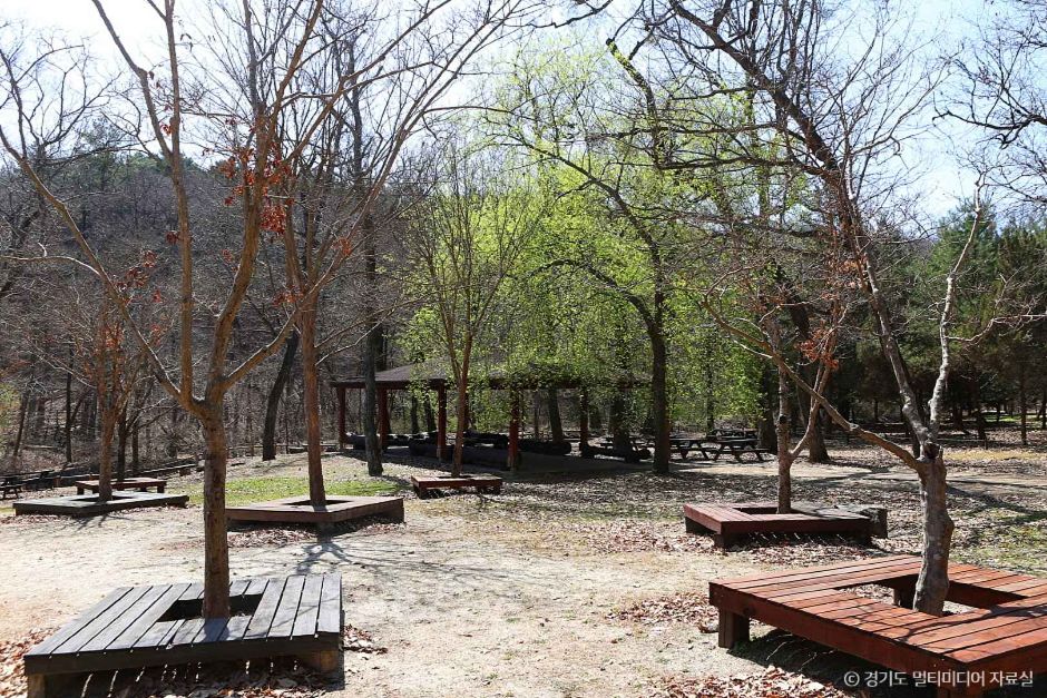 포천 국립수목원 광릉숲 이미지 1