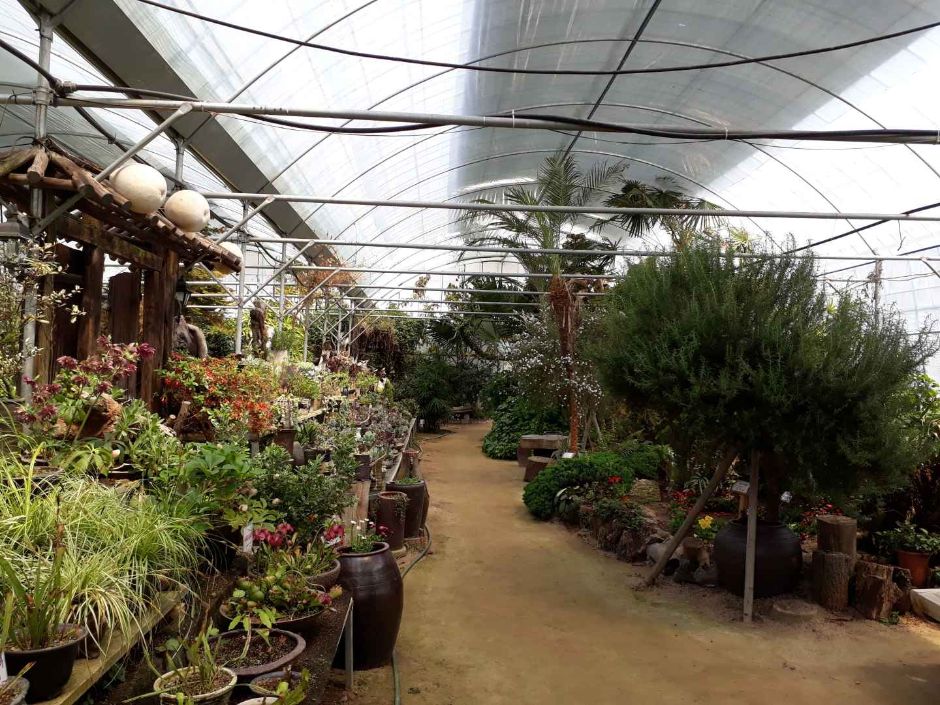 담양 다화림식물원 이미지 3