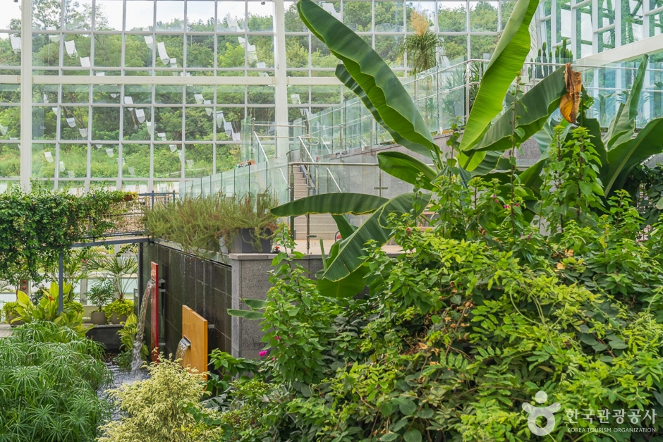 레인보우식물원 이미지 2