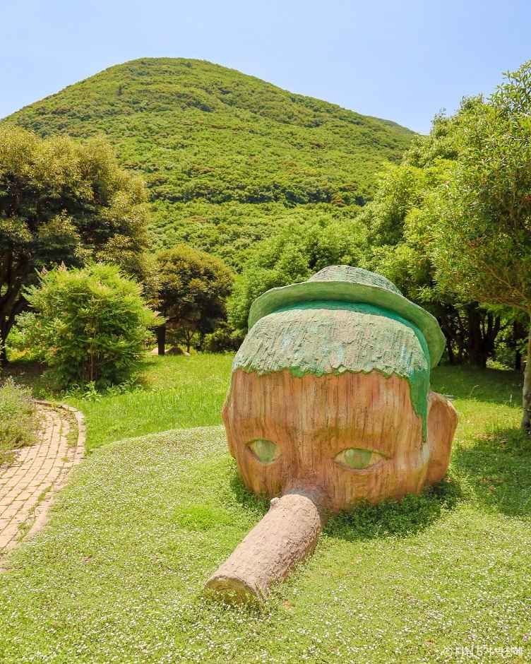 완도수목원 이미지 4