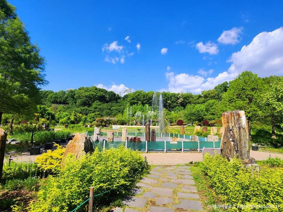 무릉도원수목원 이미지 6