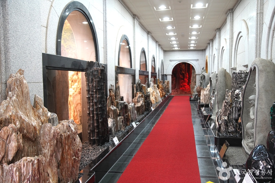 강원종합박물관 이미지 8