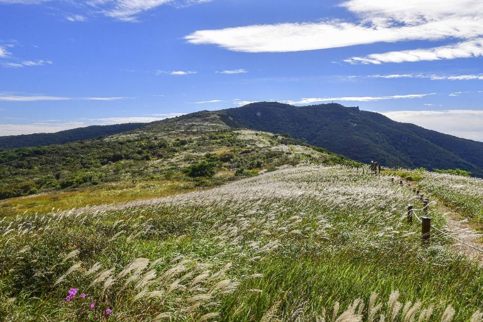 양산 천성산 이미지 2