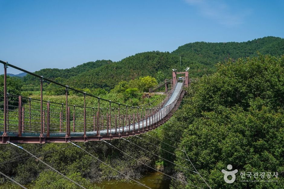 우포 출렁다리 이미지 1