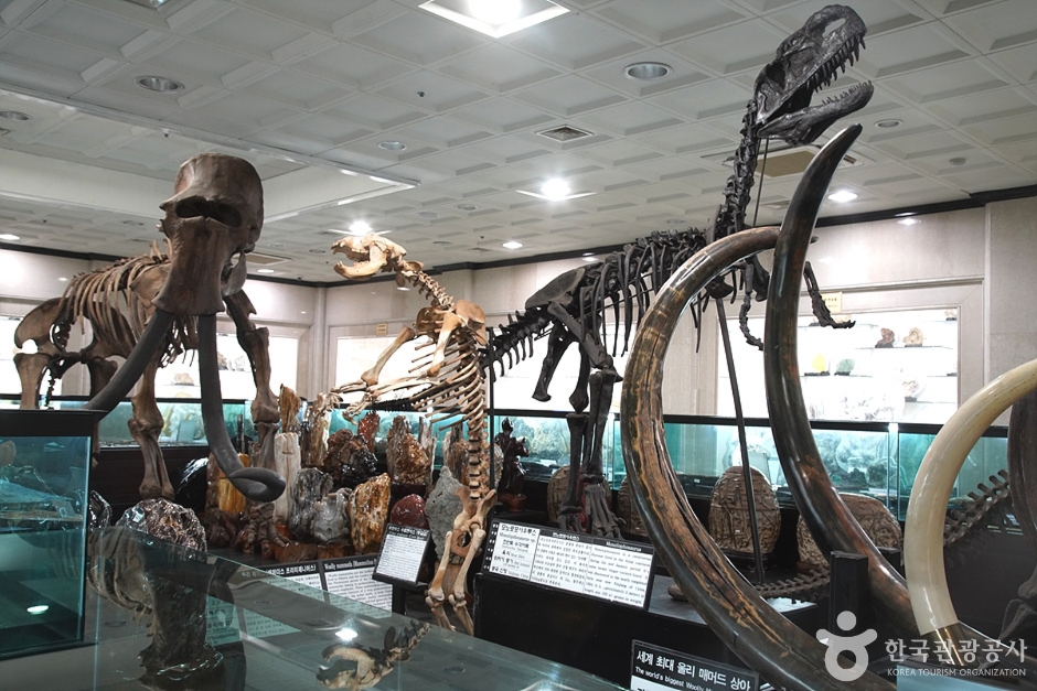 강원종합박물관 이미지 11