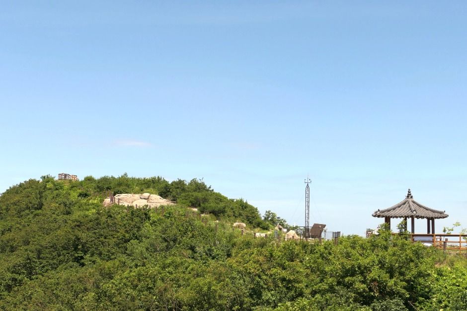 팔공산 하늘정원 이미지 7