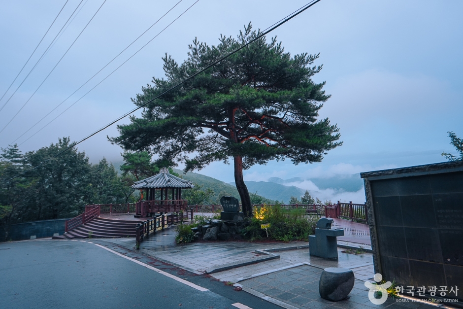 보령 옥마산 이미지 3