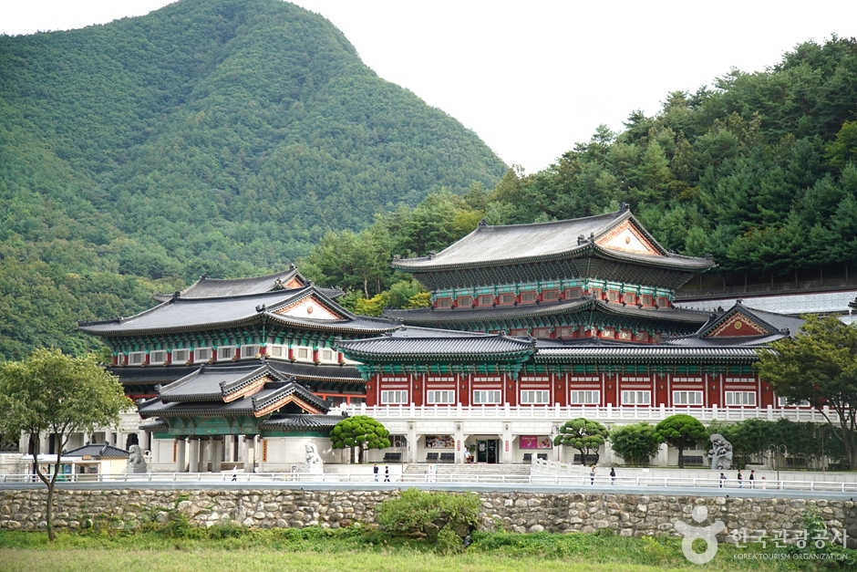 강원종합박물관 이미지 1