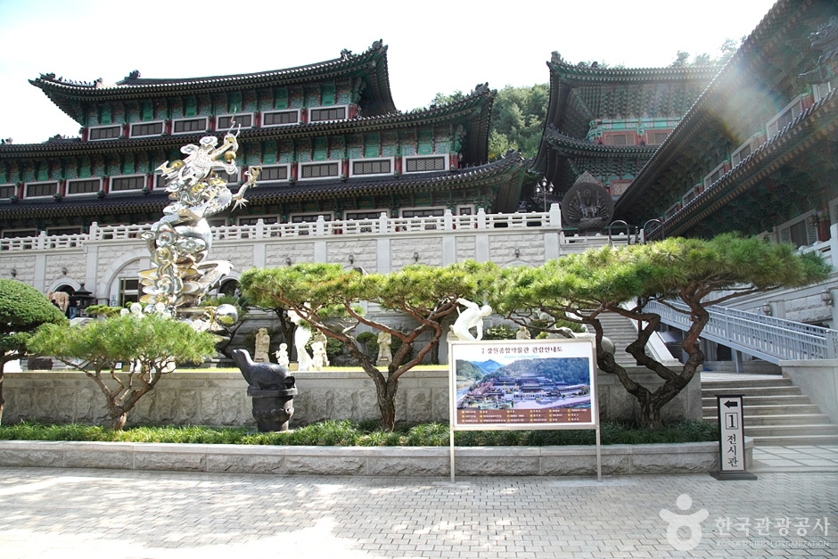 강원종합박물관 이미지 5