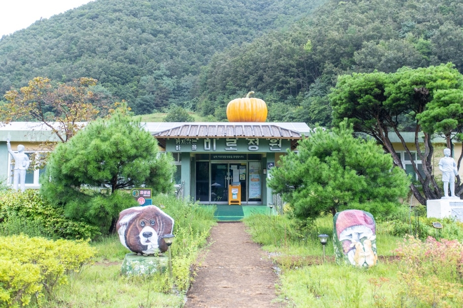 삼척 미로정원 이미지 6