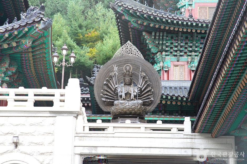 강원종합박물관 이미지 13