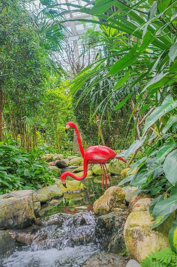 경주 동궁원 이미지 5