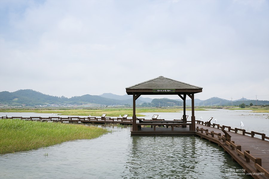 태평염생식물원 이미지 2