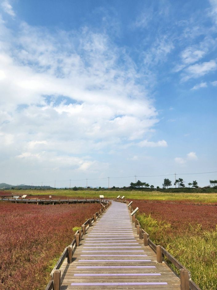 태평염생식물원 이미지 3