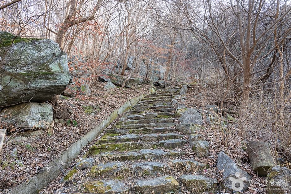 남양주 축령산 이미지 3