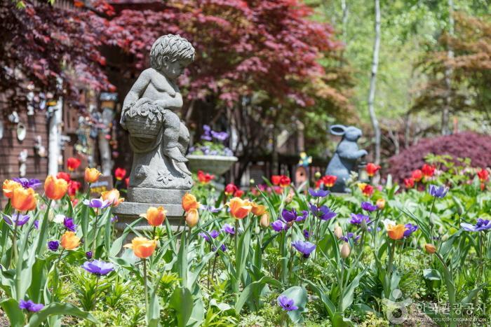 허브나라농원 이미지 8