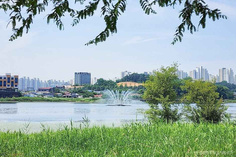 문암생태공원 이미지 1