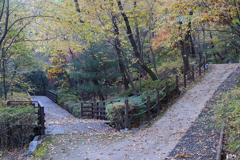 정암수목공원 이미지 4