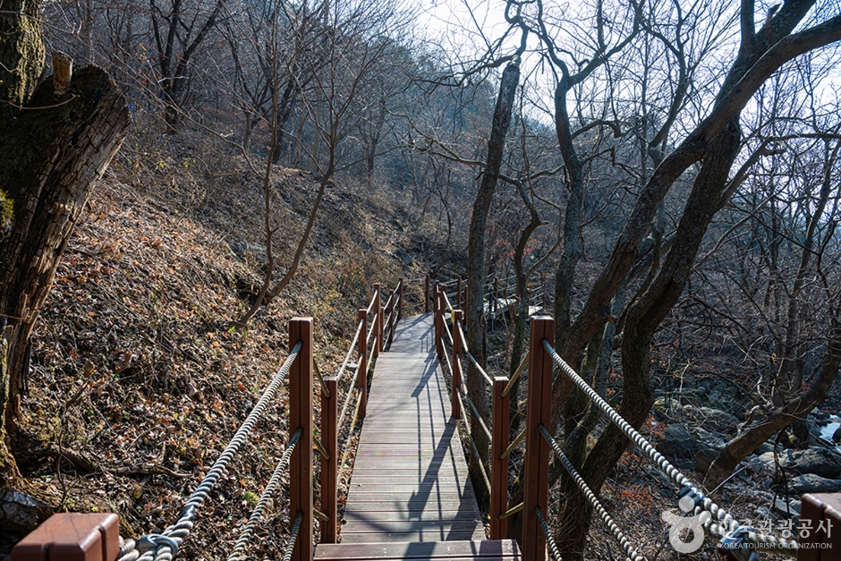 남양주 축령산 이미지 2