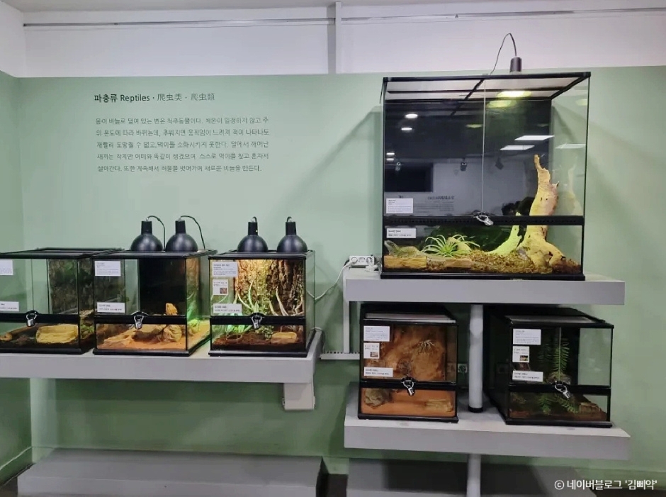 부천자연생태박물관 이미지 2