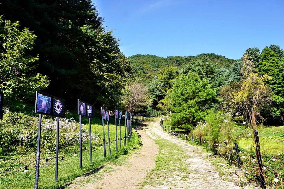 남양주 산들소리 수목원 이미지 6