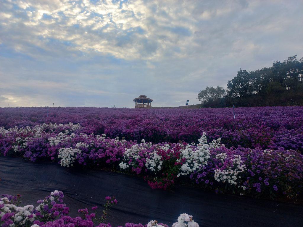 거창 금원산 이미지 4