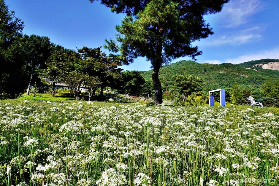 남양주 산들소리 수목원 이미지 2