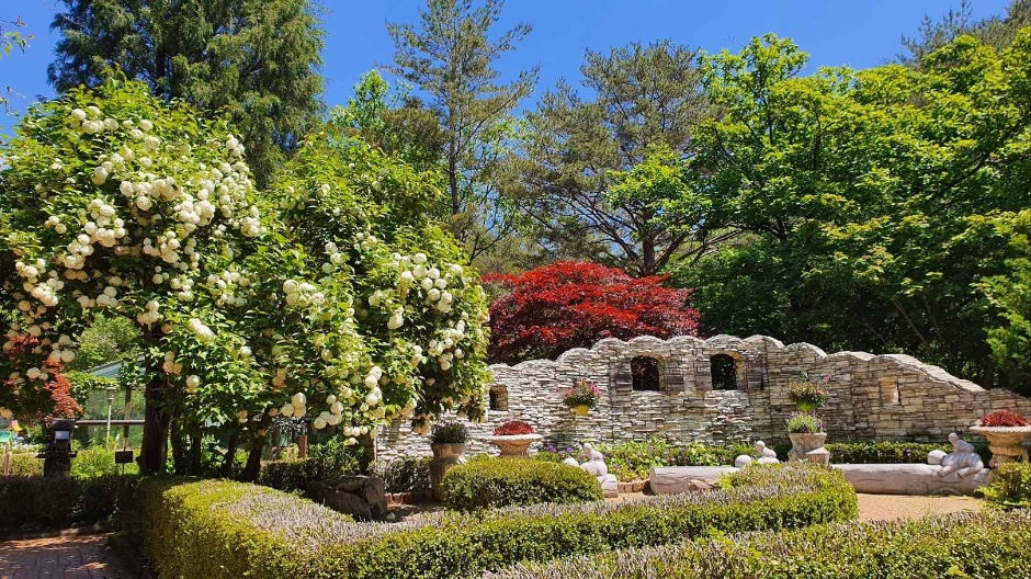 허브나라농원 이미지 3