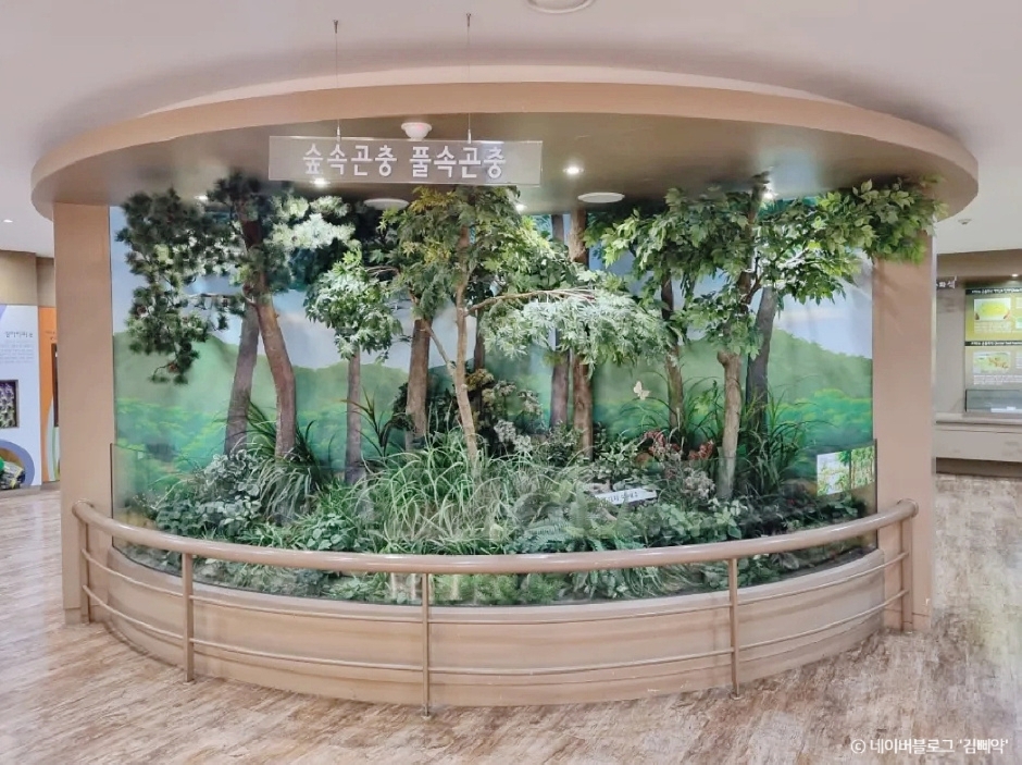부천자연생태박물관 이미지 4