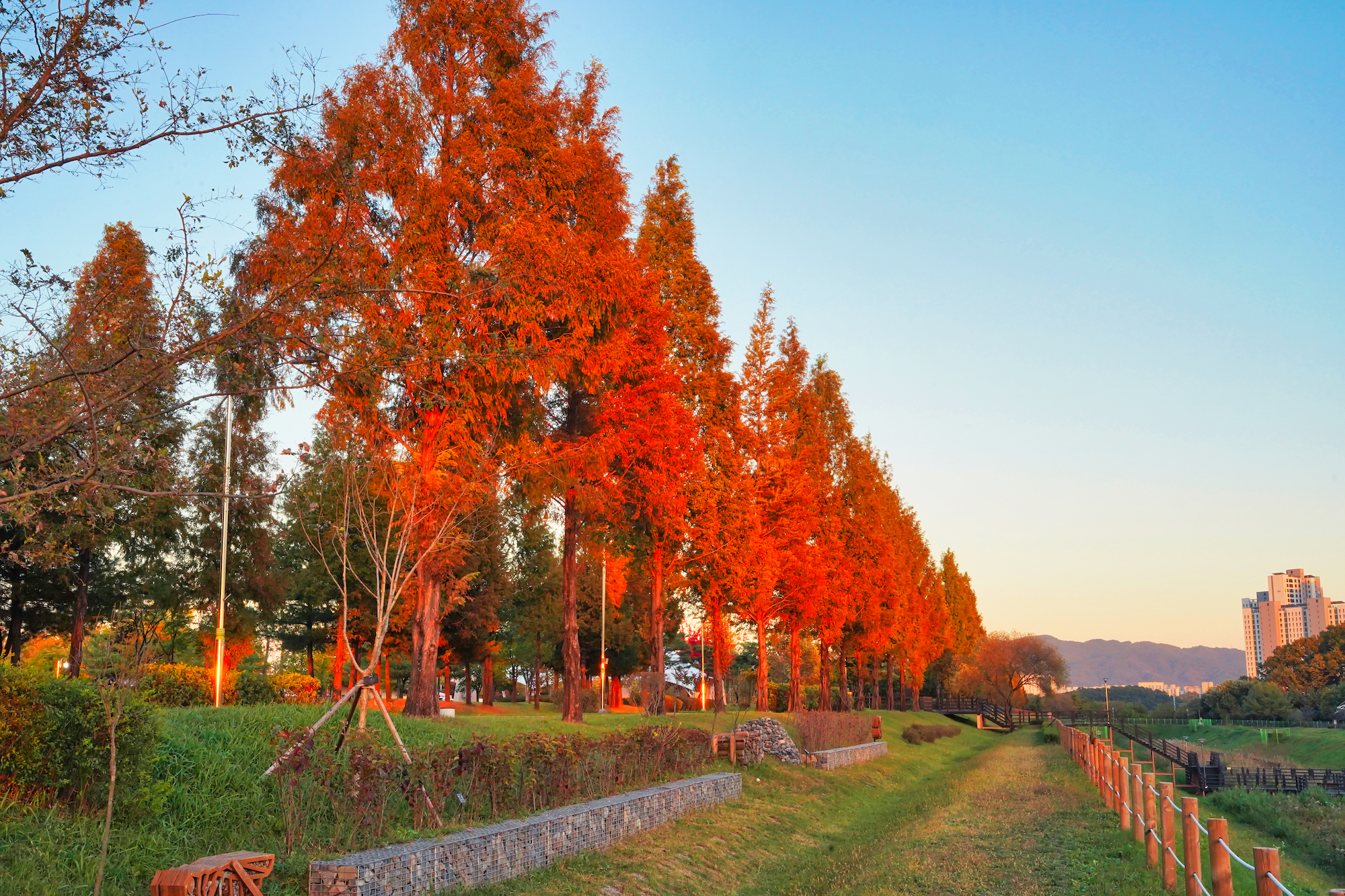 문암생태공원 이미지 7